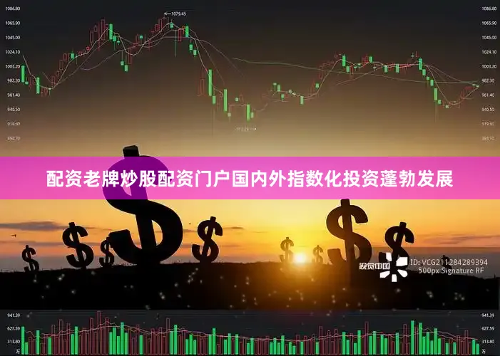 配资老牌炒股配资门户国内外指数化投资蓬勃发展