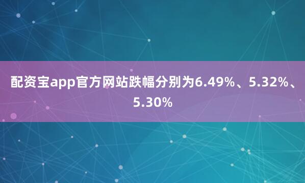 配资宝app官方网站跌幅分别为6.49%、5.32%、5.30%