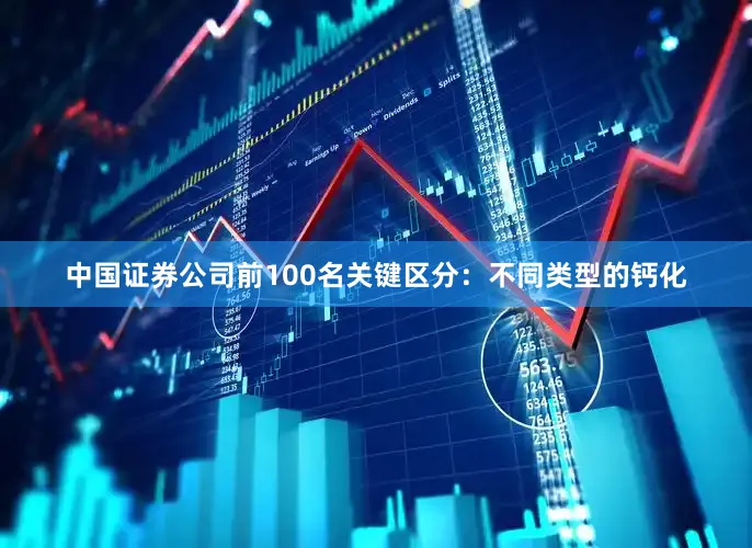 中国证券公司前100名关键区分：不同类型的钙化